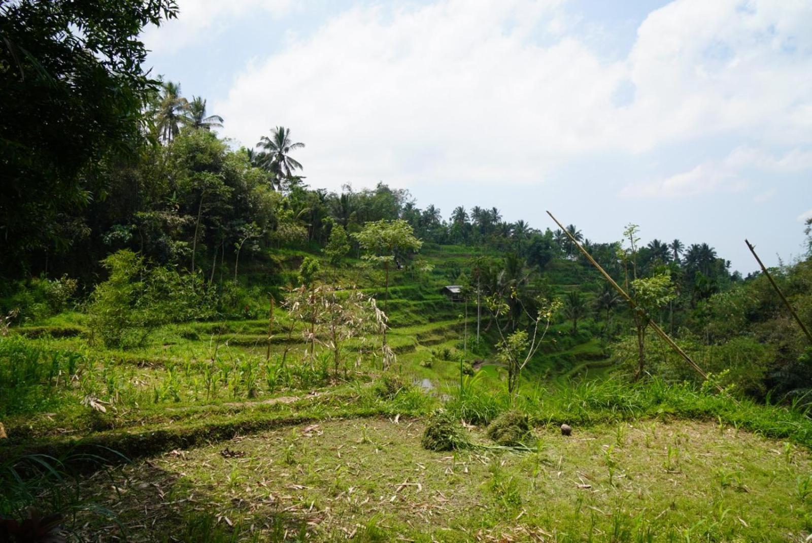 Tetebatu Indah Homestay Room photo