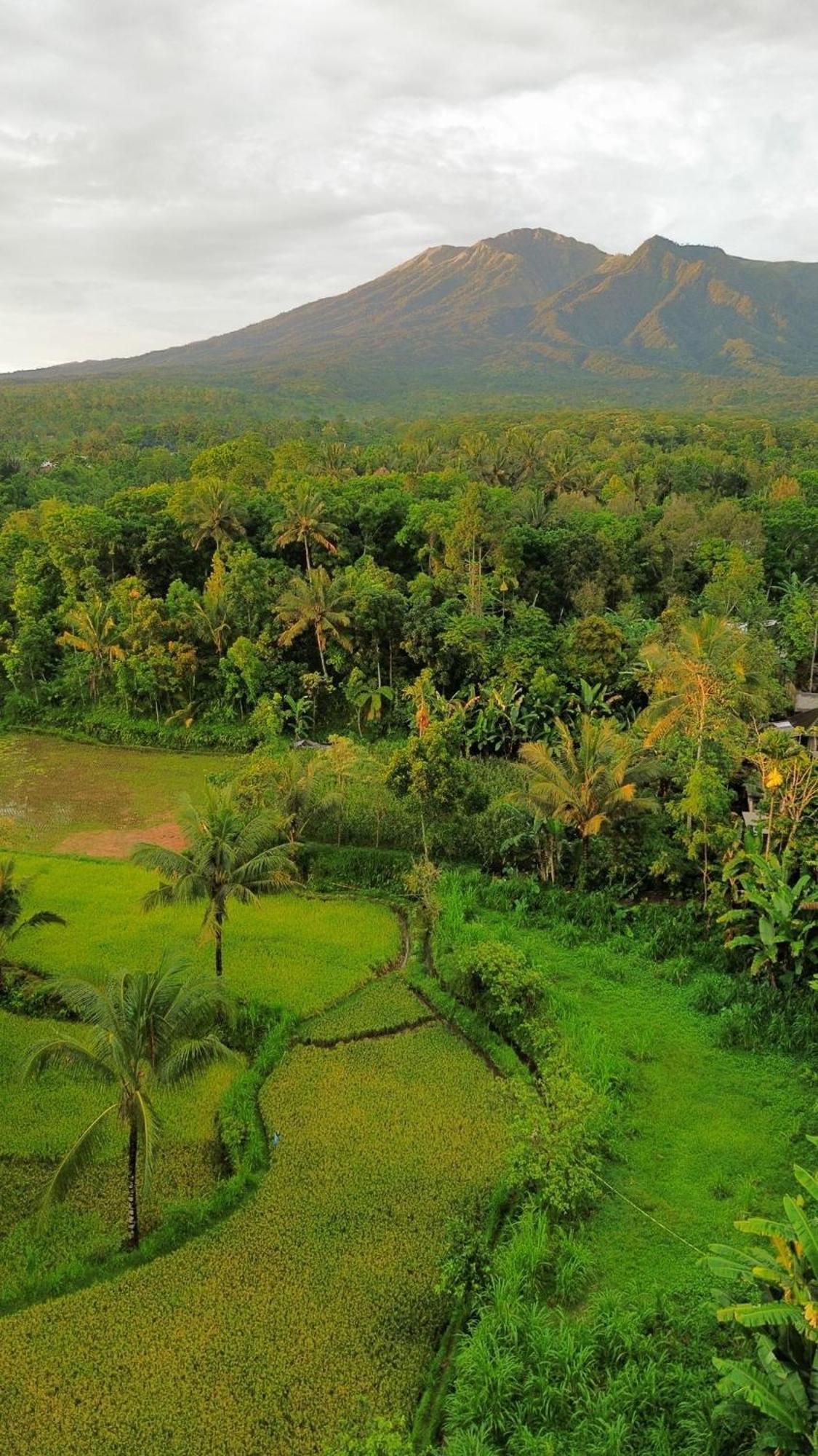 Tetebatu Indah Homestay Exterior photo